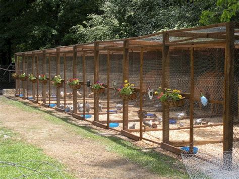 The Best 75 Creative And Low Budget Diy Chicken Coop Ideas For Your