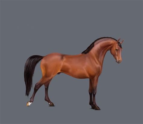 Godolphin Arabian by Black-Veil-Illusion on DeviantArt