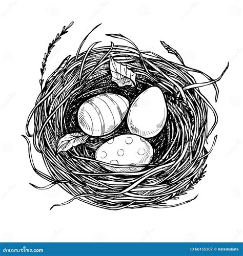 Hand Drawn Vector Illustration Nest With Easter Eggs Happy Ea Stock