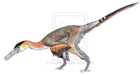 Buitreraptor Pictures & Facts - The Dinosaur Database