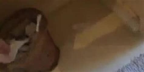 Dionne Daniels Naked Tnaflix