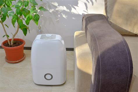 Signs That You May Need A Dehumidifier