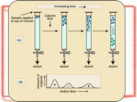 Ion Exchange Chromatography Ppt 6