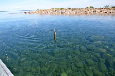 Fishing the Great Bear Lake Deline Northwest Territories I Passed