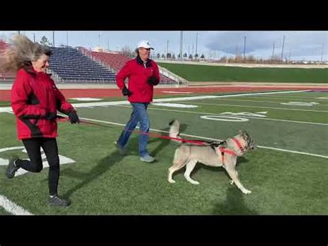 Experience Colorado State University Pueblo in Virtual Reality