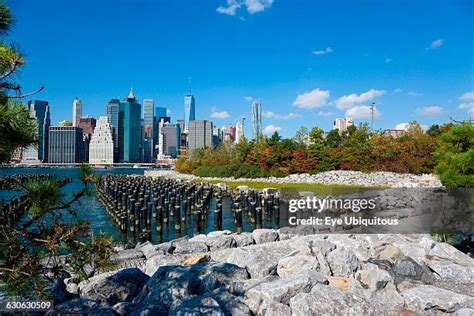 Wetlands Nyc Photos And Premium High Res Pictures Getty Images