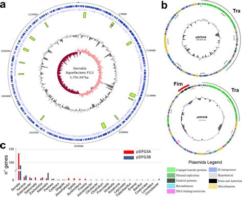 Circular Map Of Chromosome A And Plasmids B Of Slfg3 Chromosome Download Scientific