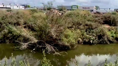 Encuentran Enorme Reptil En Mexicali Baja California Mascotas