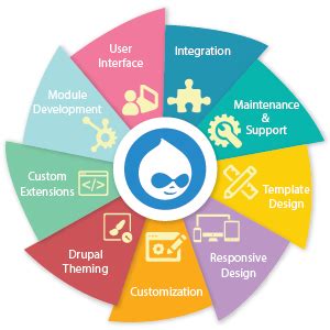 drupal development services drupal resources fidel softech