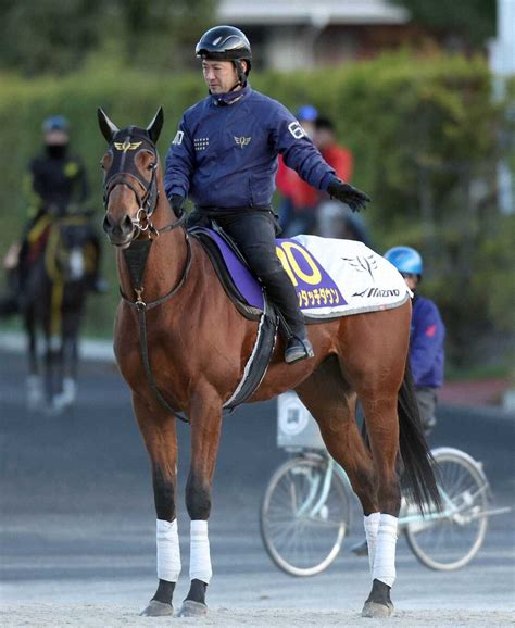 【朝日杯fs】ダノンタッチダウン 桁違い鬼脚 前走惜敗も上がり3f33秒1は断トツ― スポニチ Sponichi Annex ギャンブル