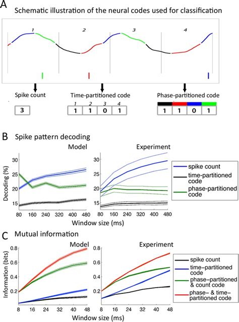 Speech Encoding By Coupled Cortical Theta And Gamma Oscillations Elife