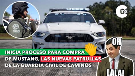 Inicia Proceso Para Compra De Mustang Las Nuevas Patrullas De La