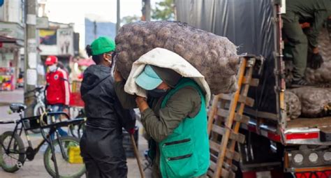 Econom A Colombiana Registr Su Peor Ca Da De La Historia