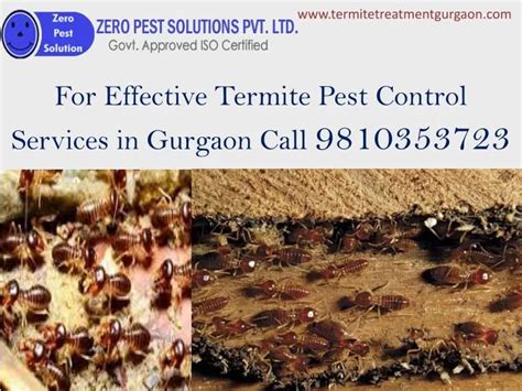 Ppt For Effective Termite Pest Control Services In Gurgaon Call