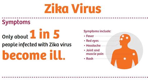 Automated Zika Virus Assay Siemens Healthineers Usa