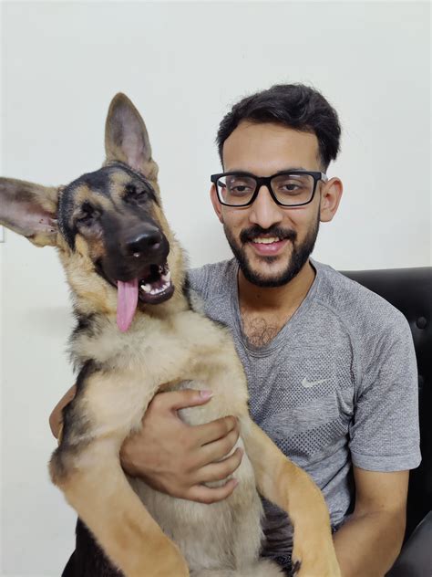 The Perfect Pet