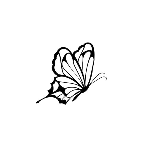 Premium Vector | Vector drawing of a beautiful butterfly butterfly tattoo