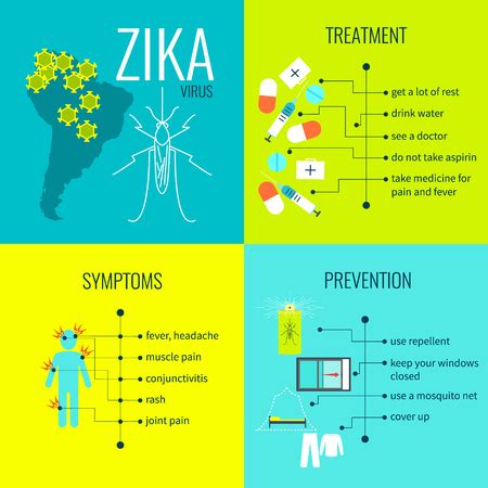 Fototapeta Zika Wirus W Infografika Profilaktyka Objawy I Leczenie Na