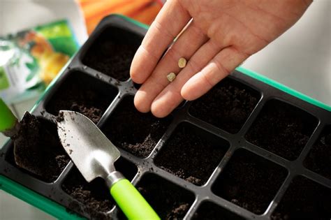 Free Photo | Man cultivating and farming plants in an indoor garden