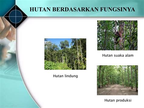 Sumber Daya Alam Hutan 14