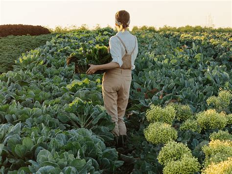 Viewpoint Regenerative Agriculture Has Become A Popular Buzzword Here