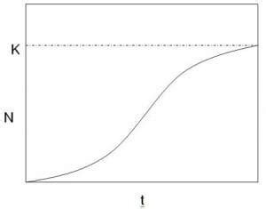 Carrying Capacity Definition And Examples Biology Dictionary