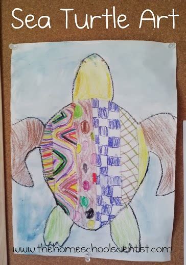 Sea Turtle Art Project - The Homeschool Scientist