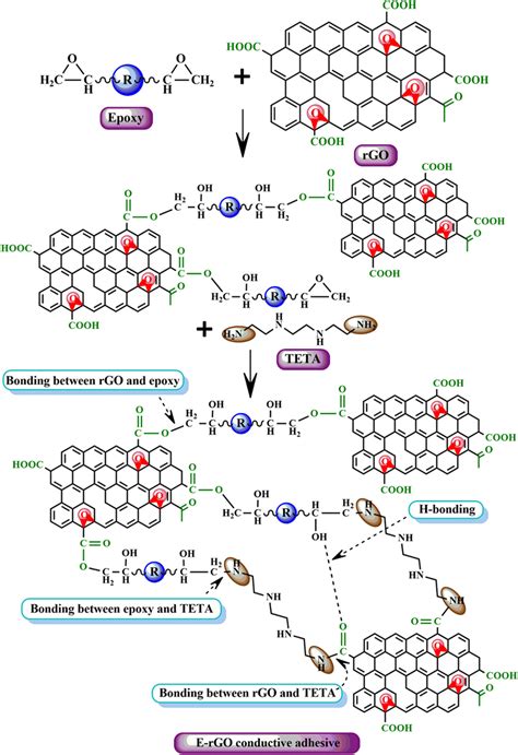 Illustrative Diagram For Possible Interactions Between Dgeba Epoxy Download Scientific Diagram