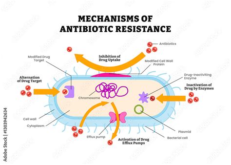 antibiotic resistance mechanism diagram process efflux pumps ejecting