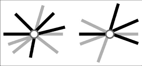algorithm  step   scientific diagram