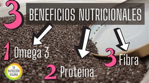 Chía ¿para Qué Sirve 3 Beneficios Útiles Dra Vegana