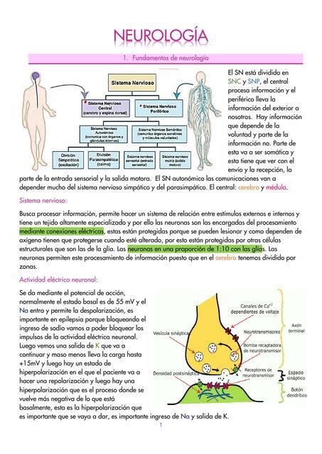 Neurología med snownotes uDocz