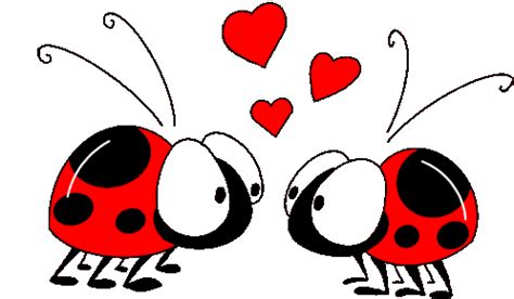 Love Bugs Sticker - Love Bugs Hearts - Discover & Share GIFs