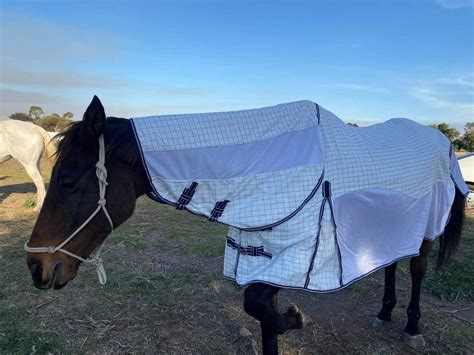 Navy White Hybrid Mesh Cotton Ripstop Combo Horse Rug Payless Saddlery