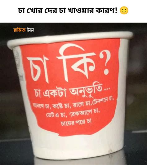 ramiz meme rni ca khor der ca khaoozar karn bengali