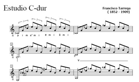 Estudio En Mi Menor Francisco Tárrega Partituras Con Muestra De Audio