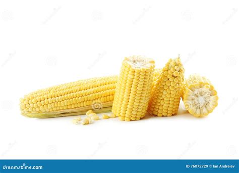 Sweet Corns Stock Image Image Of Corncob Piece Pile 76072729