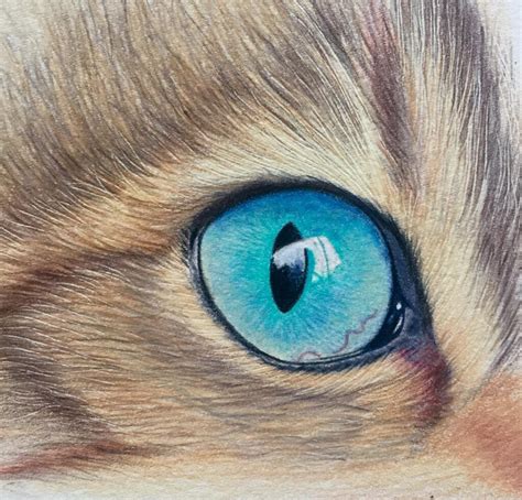 Derwent Chromaflow Cats Eye Tutorial Bromleys Art Supplies