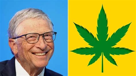 Bill Gates Se Confiesa Sobre El Cannabis Sus Amigos Fumaban Porque Era Una “forma De Rebelión