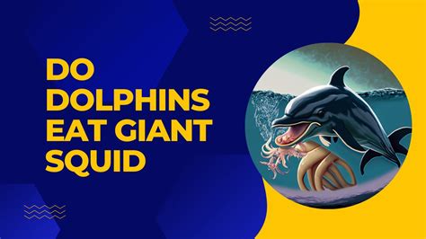 Do Dolphins Eat Squid? The Ultimate Underwater Hunt | DolphinXpert.com