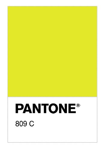 Colore Pantone® 809 C Numerosamenteit