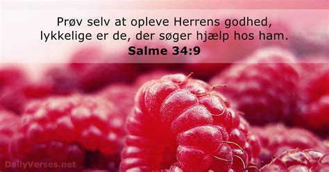 November Dagens Bibelvers Salme Dailyverses Net