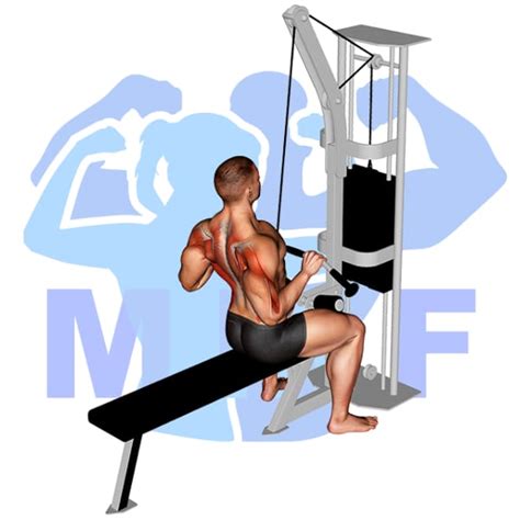 Lat Pulldowns For A Sexy V Taper Your Exercise Guide And Tips