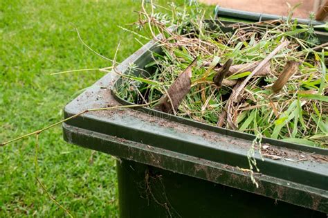 Déchets De Jardin De Couper Les Arbustes Et De Plantes Debout Près De