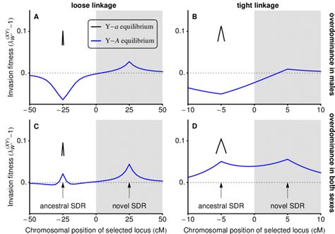 Fig S1 With Overdominance Loci Near To The Ancestral Sex Determining