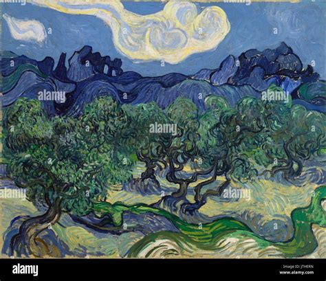 Vincent van Gogh The Olive Trees Stock Photo - Alamy