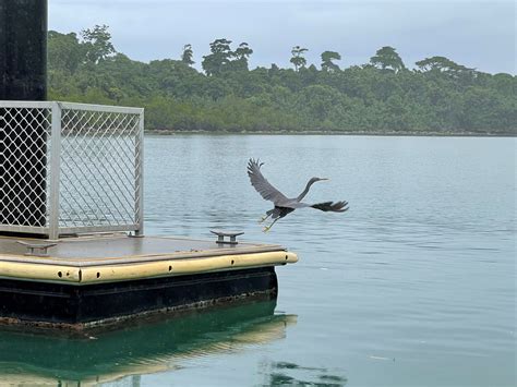 Great Barrier Reef Fishing and Island Tours - Cassowary Coast Tourism