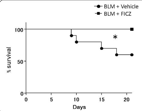 Ficz Improved Survival In A Bleomycin Induced Mouse Model Blm At 006