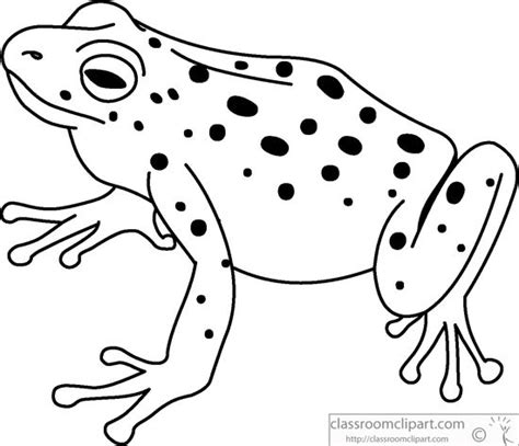 Animals Black and White Outline Clipart - green-tree-frog-black-white ...