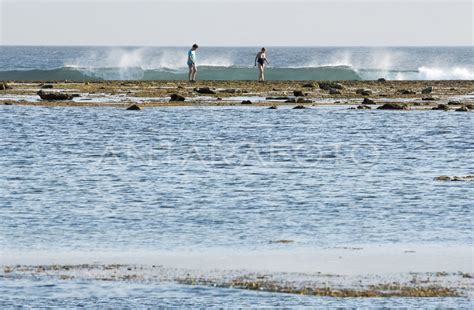 Wisata Pesisir Pantai Rote Ndao Antara Foto